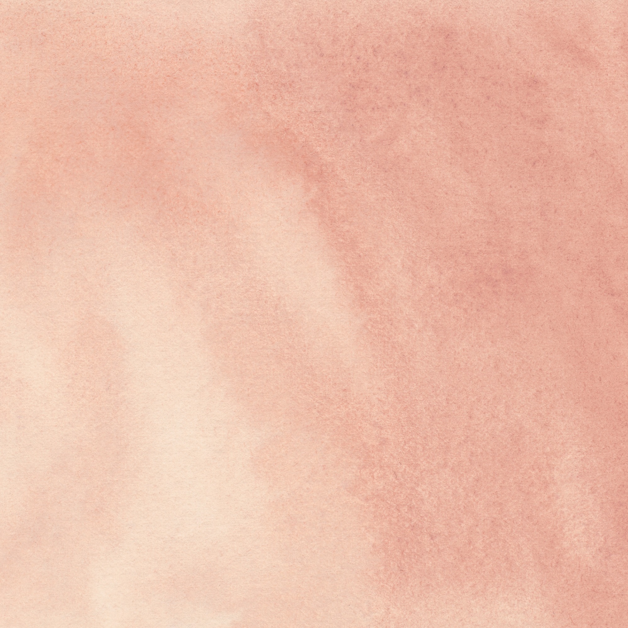 Iris Wc Swatch Ballerina Pink