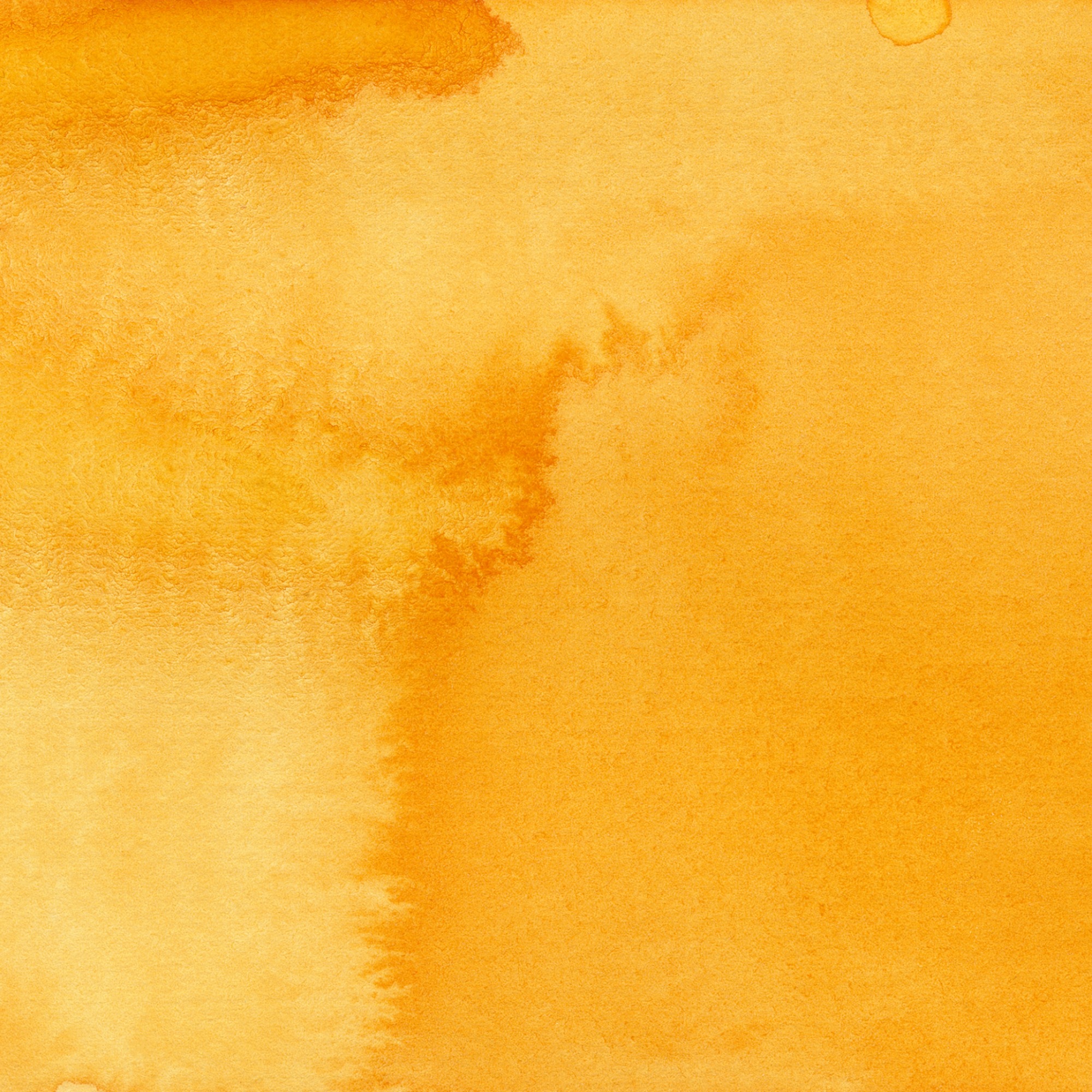 Iris Wc Swatch Brilliant Orange