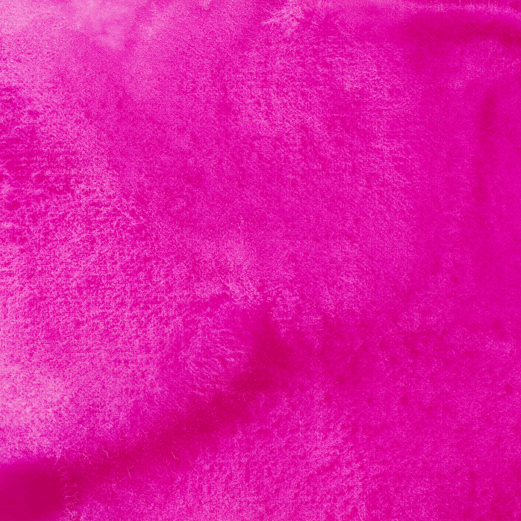 Iris Wc Swatch Brilliant Rose