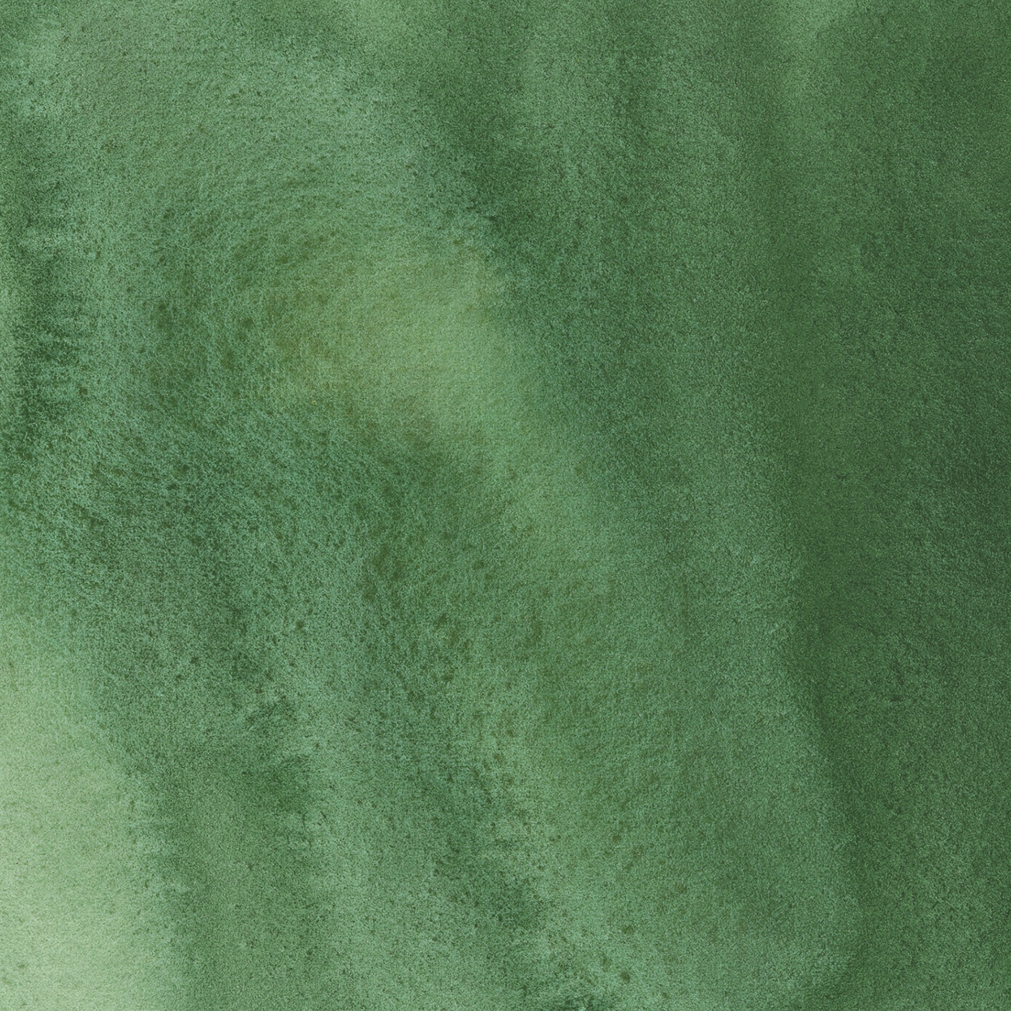 Iris Wc Swatch Olive Green