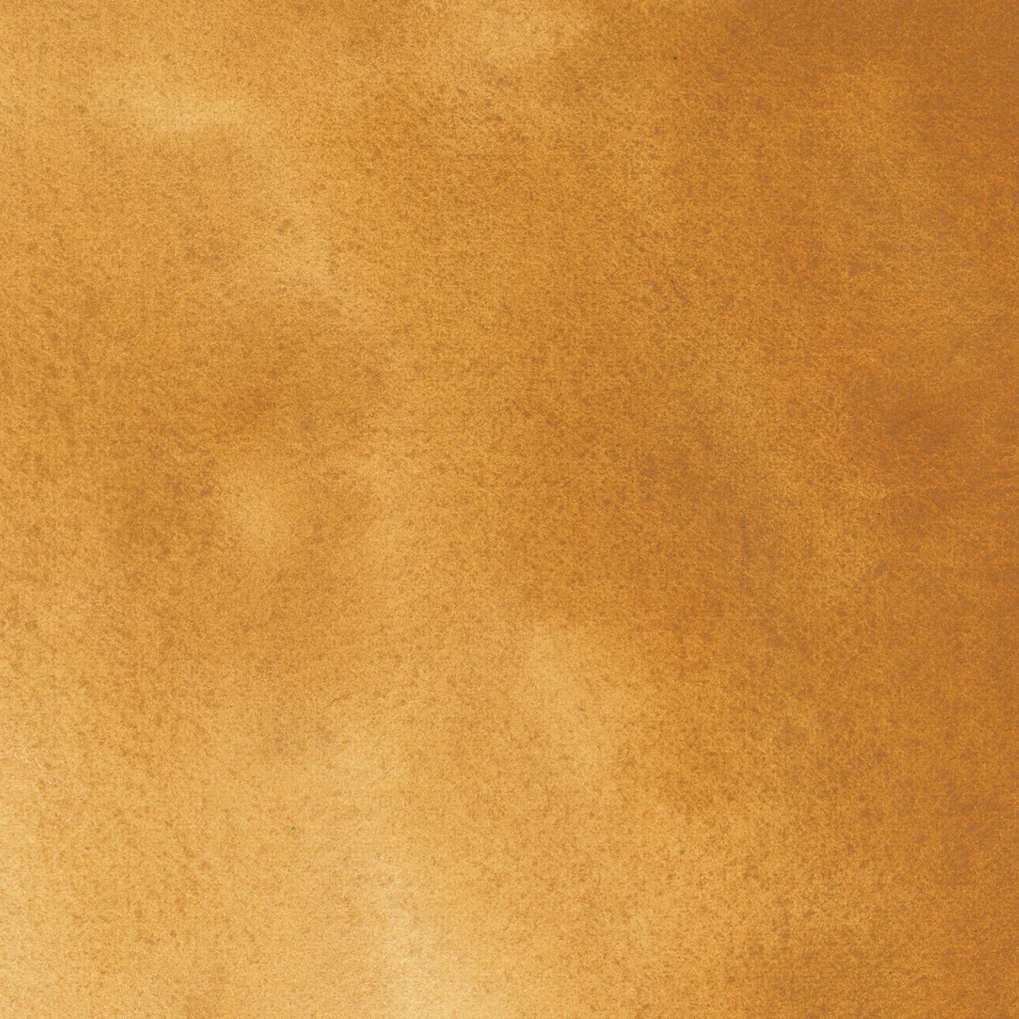 Iris Wc Swatch Raw Sienna