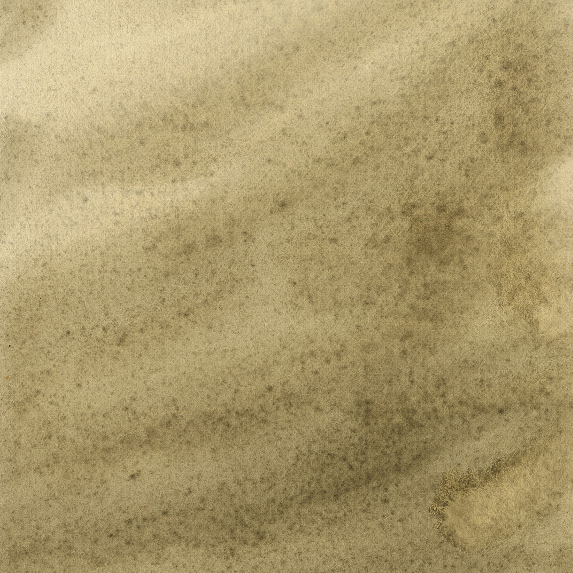 Iris Wc Swatch Raw Umber