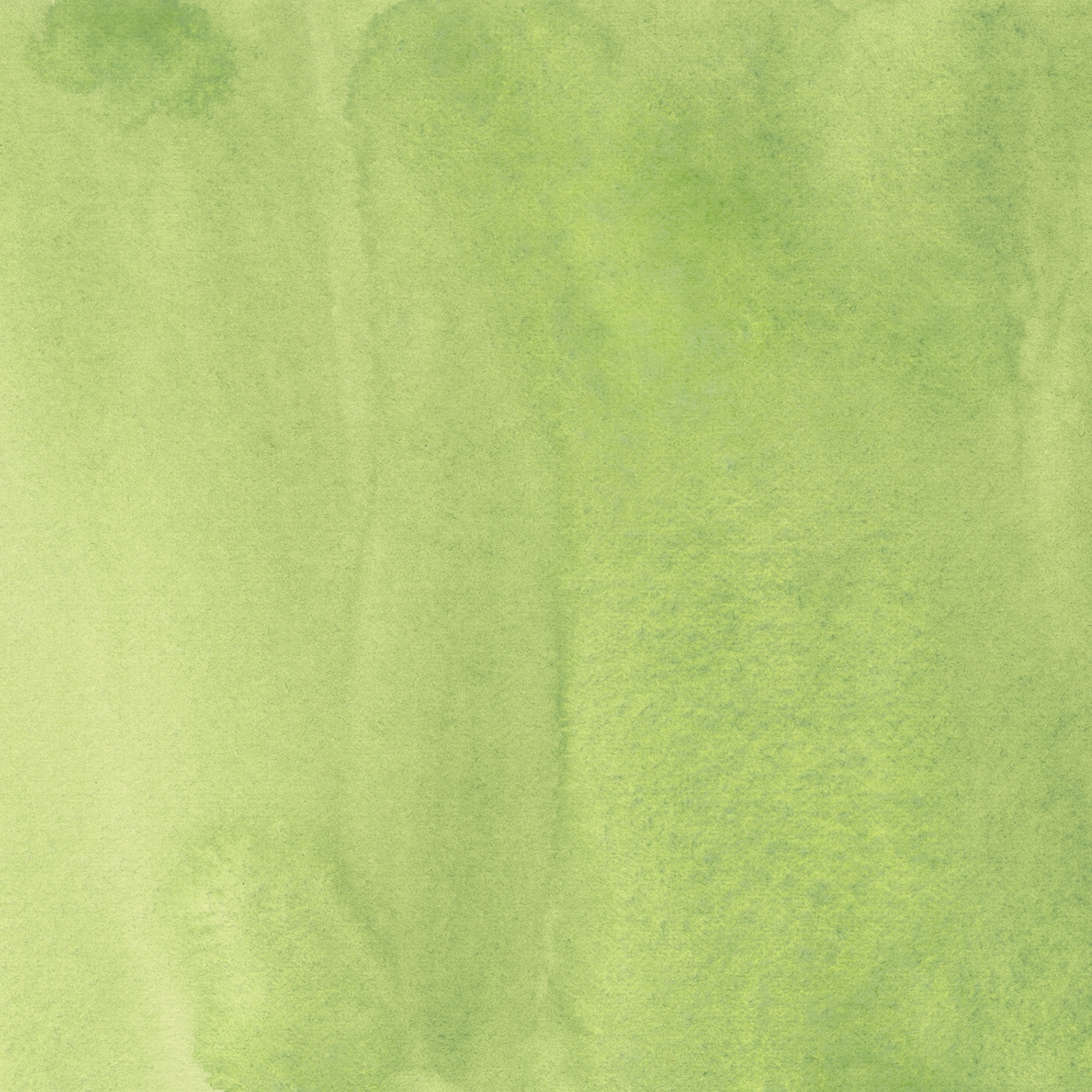 Iris Wc Swatch Sage Green