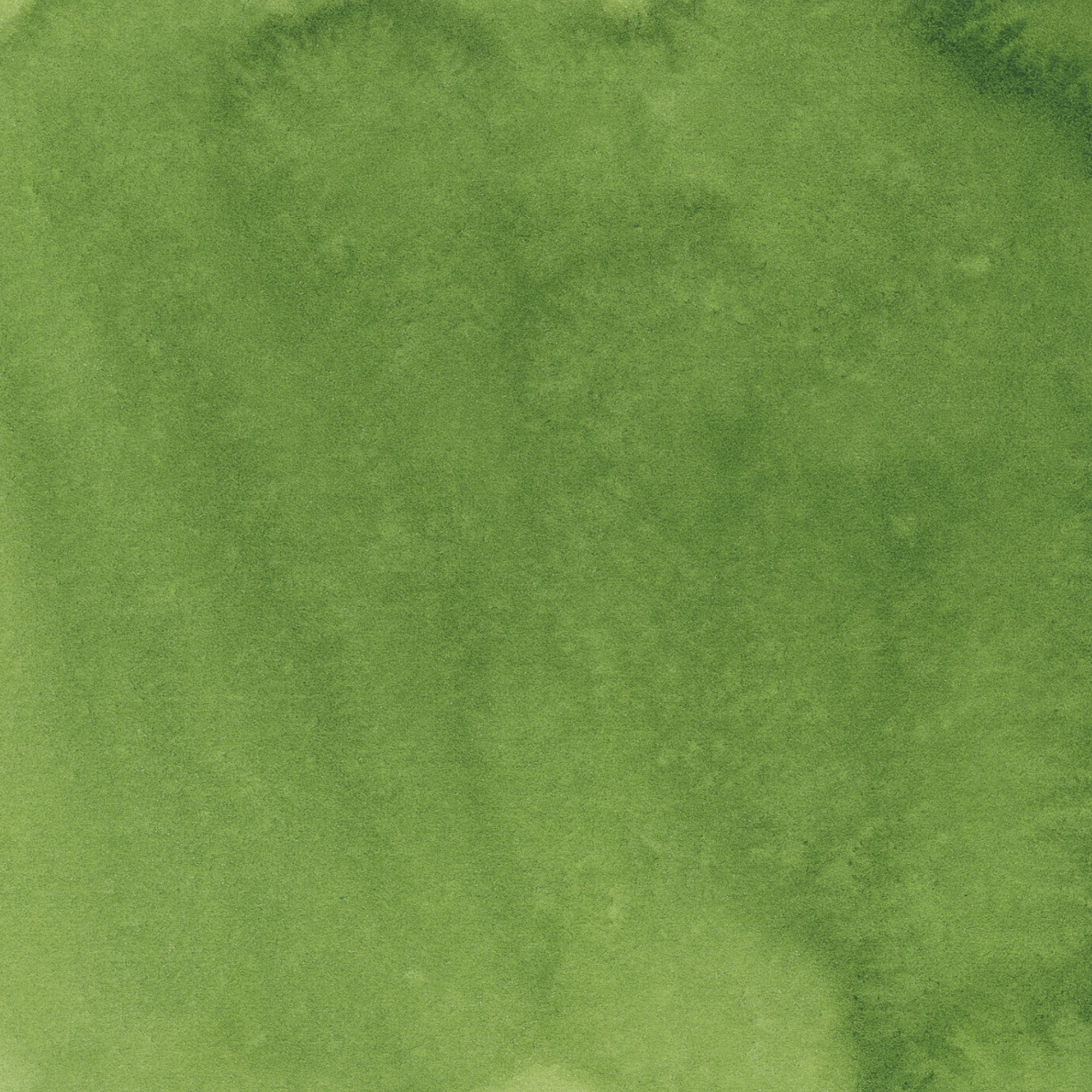 Iris Wc Swatch Sap Green