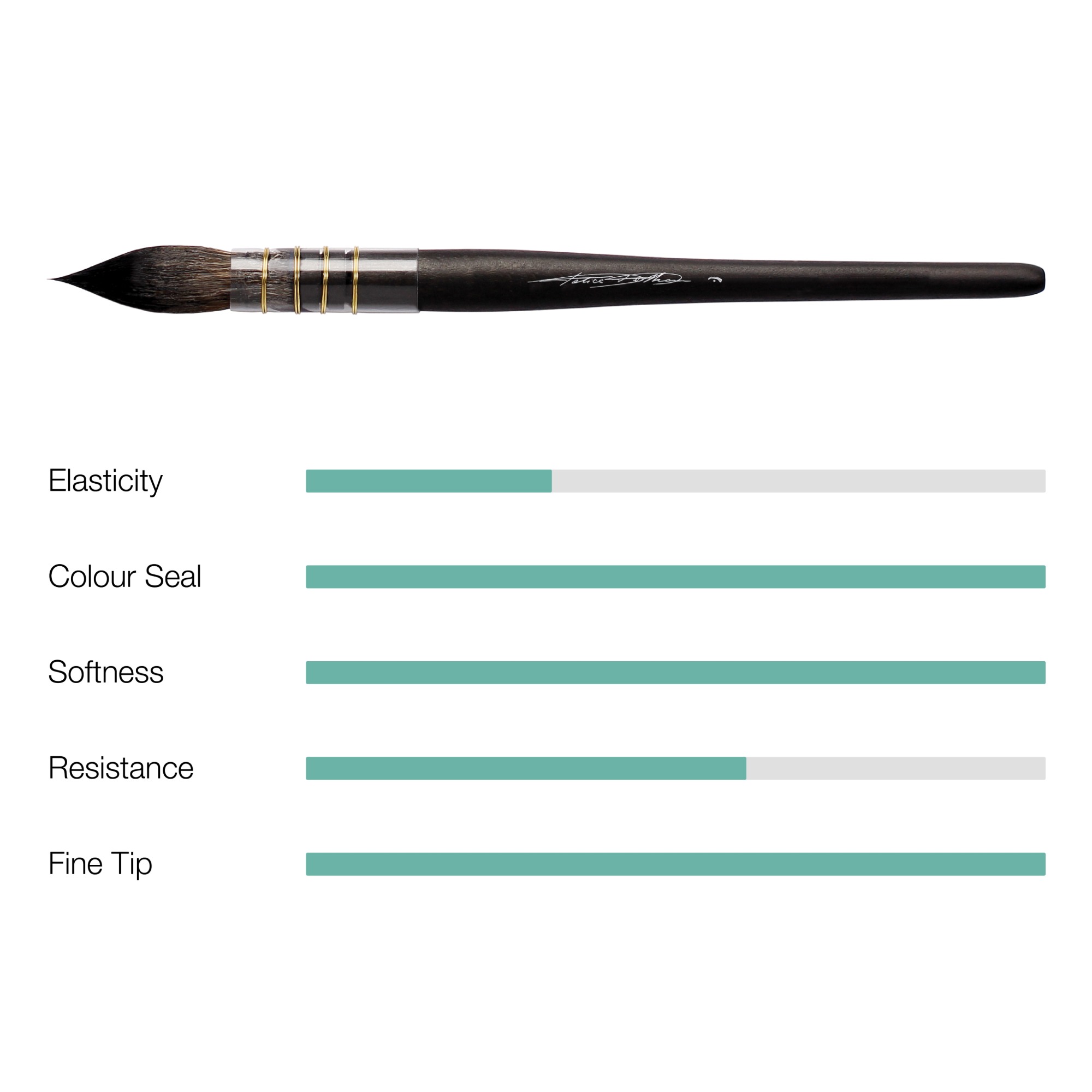 Tintoretto Traditional Mop Stats