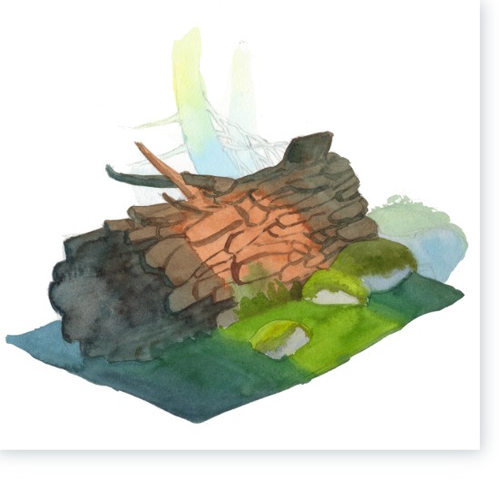 Step5
