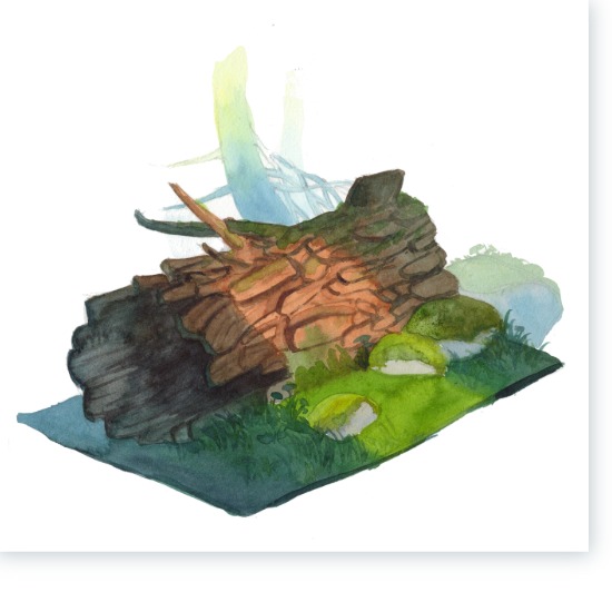 Step7
